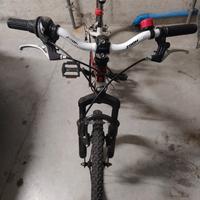 bici 20 pollici 