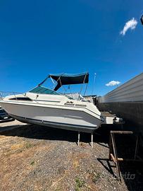 Barca Natante Sea Ray 220 senza motore