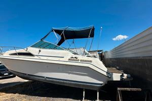 Barca Natante Sea Ray 220 senza motore