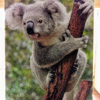 Puzzle KOALA 