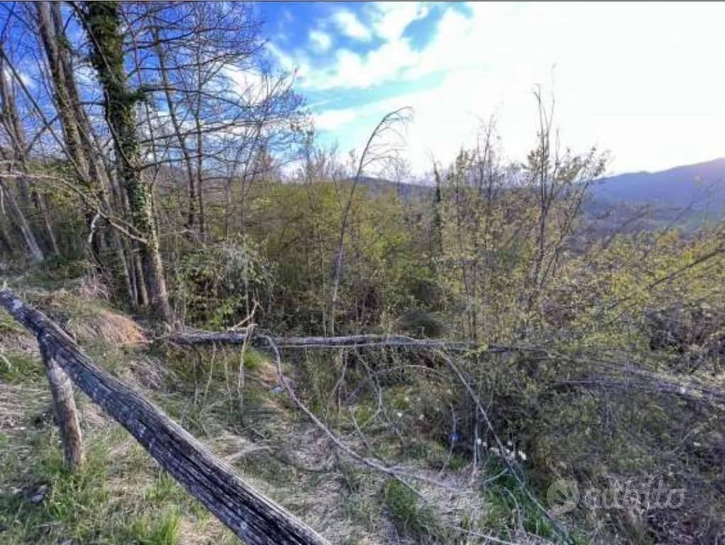 Immobile in asta di 14363 m² a Monzuno - Vista 5