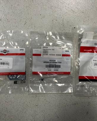 Molle carburatore motore briggs stratton