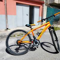 MTB 24'' lombardo 