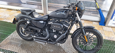 Harley davidson iron 883 2014