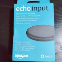 Echoinput 