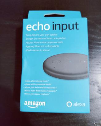 Echoinput 