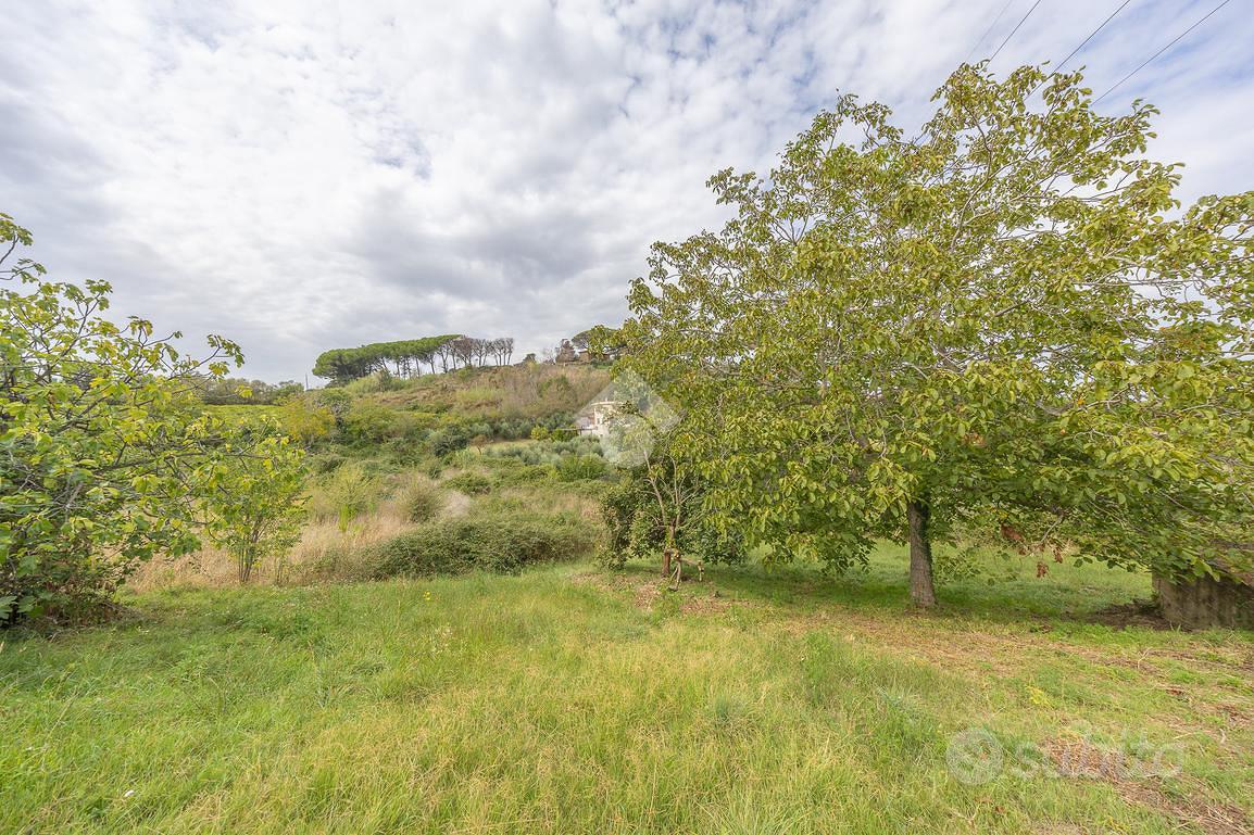 RUSTICO A MONTE PORZIO CATONE - Vista 5