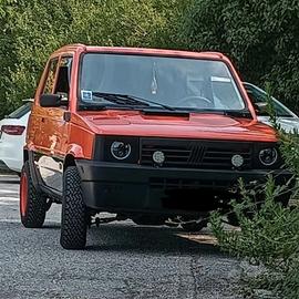 panda 141 impeccabile 