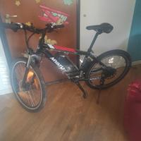Bici elettrica 300 euro