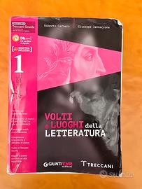 volti e luoghi della letteratura