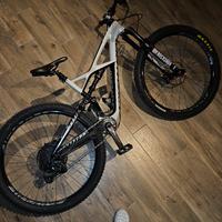 specialized enduro expert 29"