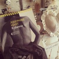 Josephine Hart - Il Danno