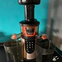 RGV Estrattore per succhi di frutta naturali