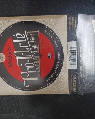 corda chitarra d addirittura ej45