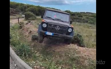 Mercedes classe g Puch Wolf