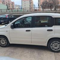 FIAT PANDA 1200BENZINA ANNO 2020