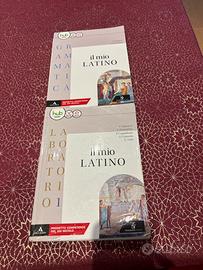 Libro di latino per licei