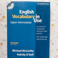 English vocabulary in use. Upper intermediate. Per