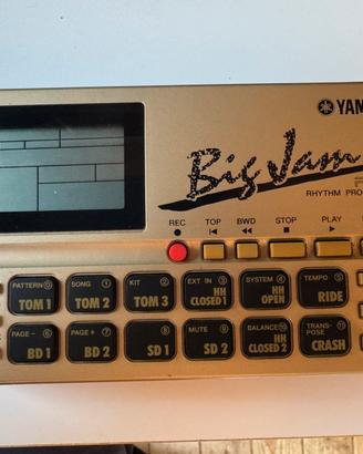 Yamaha RY 9