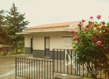 Biancavilla vigne Contrada Vallone Rosso