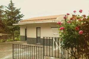 Biancavilla vigne Contrada Vallone Rosso