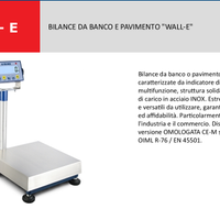 Bilancia professionale