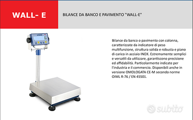 Bilancia professionale