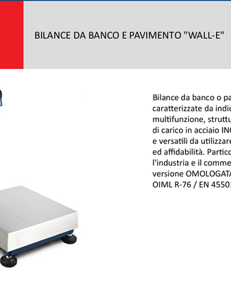 Bilancia professionale