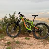 Specialized turbo levo