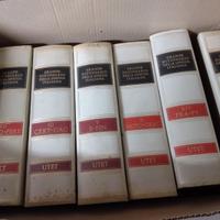 Grande dizionario enciclopedico