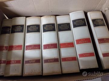 Grande dizionario enciclopedico