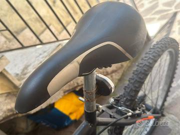 bici adulti