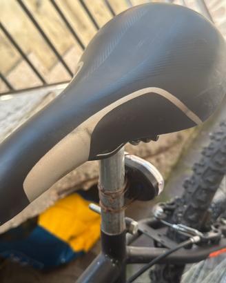 bici adulti