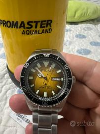 Citizen promaster