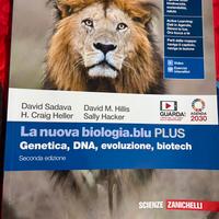 Libri