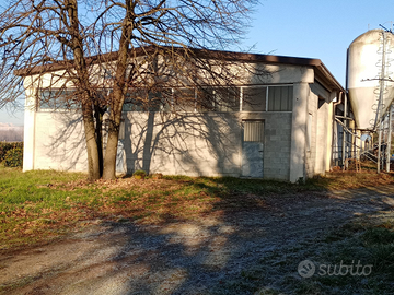 Capannone e terreno