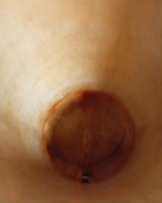 cisterna di vetroresina