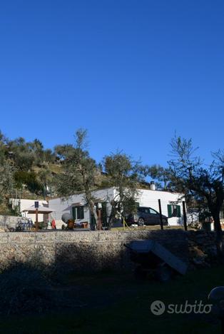 Casa indipendente con terreno uliveto