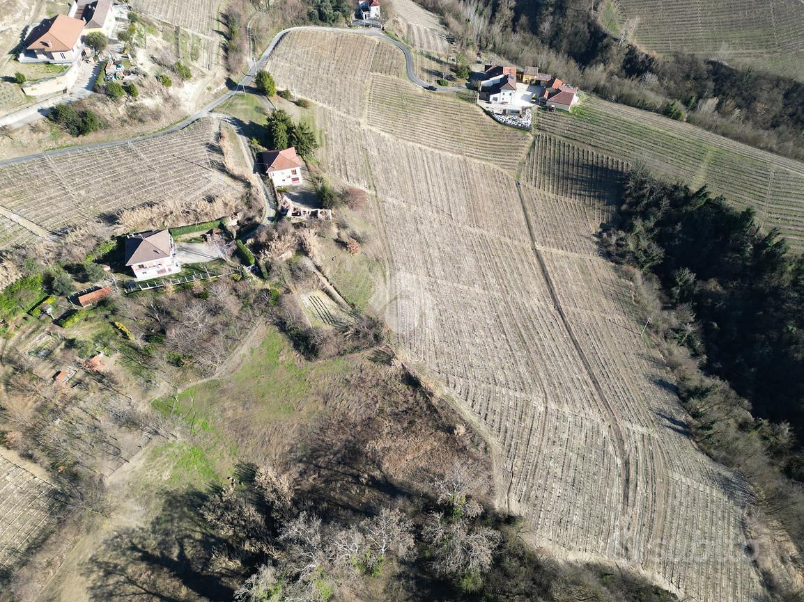 TER. AGRICOLO A CALOSSO - Vista 4