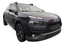 citroen-c4-cactus-puretech-82-shine