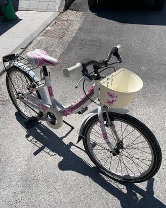 bicicletta