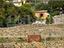 Immagine 7