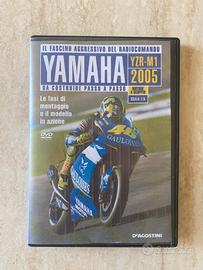 DVD.  …,..