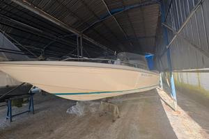 Barca open squalo junior