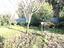 Immagine 13