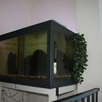 Acquario 450 litri