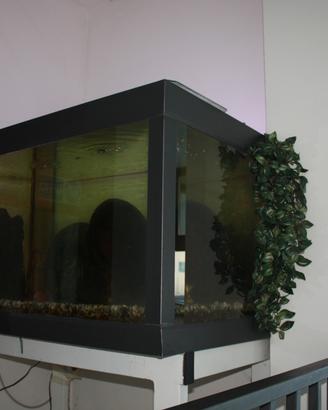 Acquario 450 litri