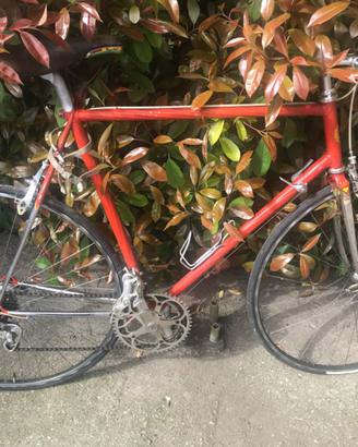 Bici da corsa Walter Trabucco Mogliano V