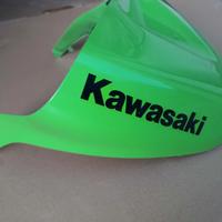carene kawasaki ninja 636 05-06 zx6r