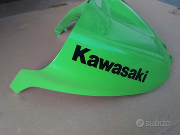 carene kawasaki ninja 636 05-06 zx6r